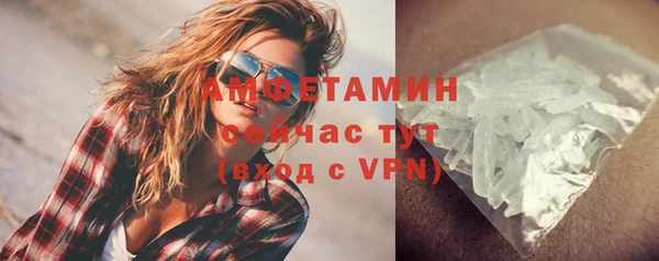 индика Нефтегорск
