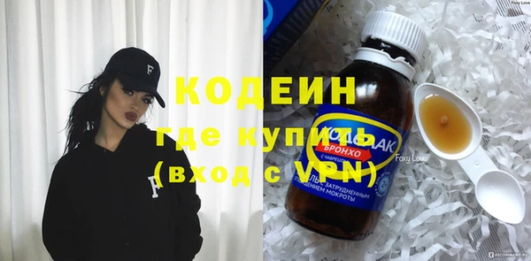 индика Нефтегорск