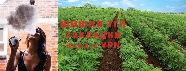 индика Нефтегорск