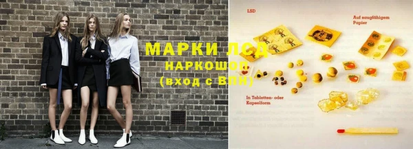 индика Нефтегорск