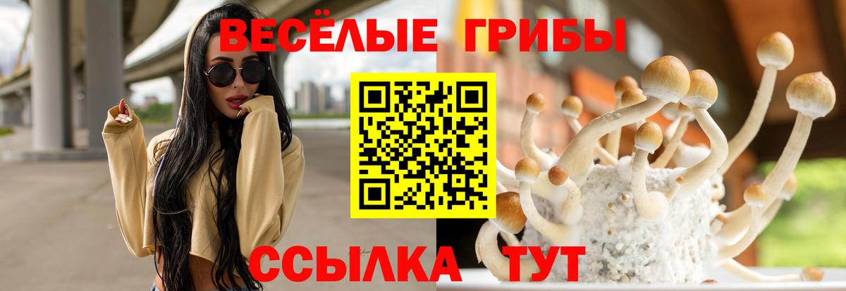 где купить наркотик  Вход с VPN  Новокузнецк  Галлюциногенные грибы мухоморы 
