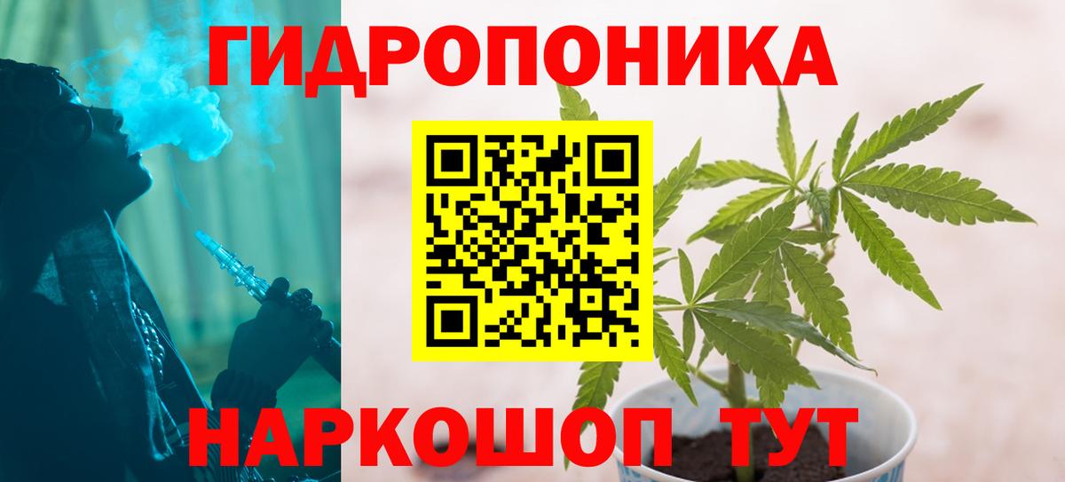 Новокузнецк  Конопля планчик  Марихуана конопля  Марихуана ГИДРОПОН  Марихуана White Widow  Вход с VPN 